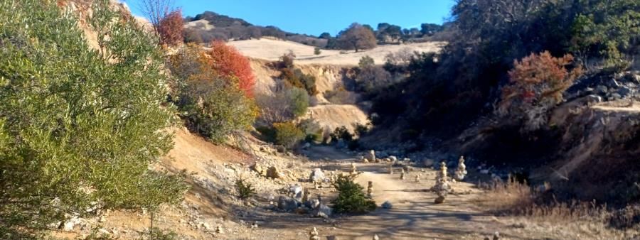 Wild Goose Chase Lime Ridge 5K, 10K