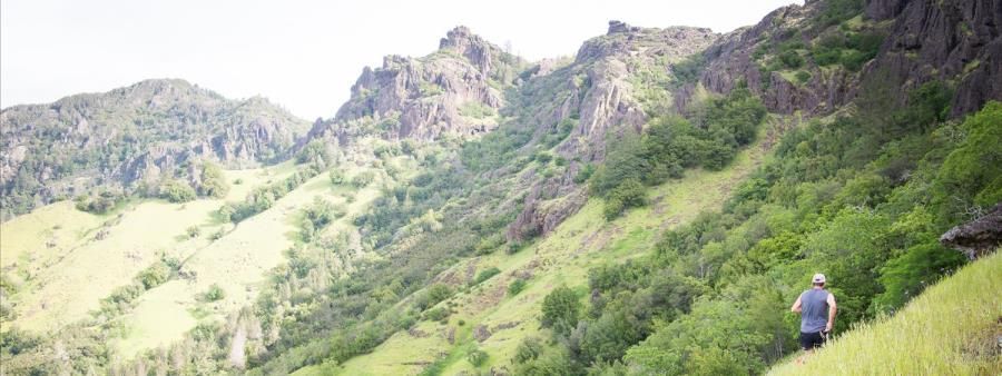 Scena Performance Series Passes