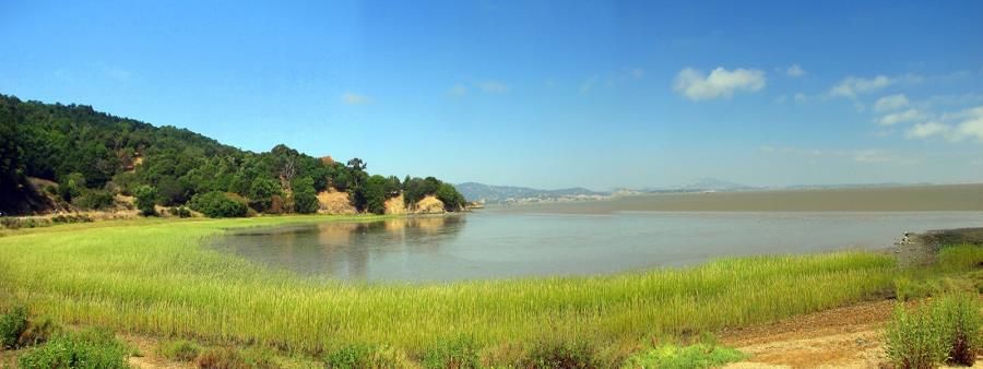 China Camp Trail Run