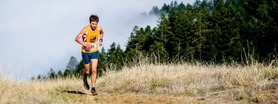 Muir Woods Trail Run