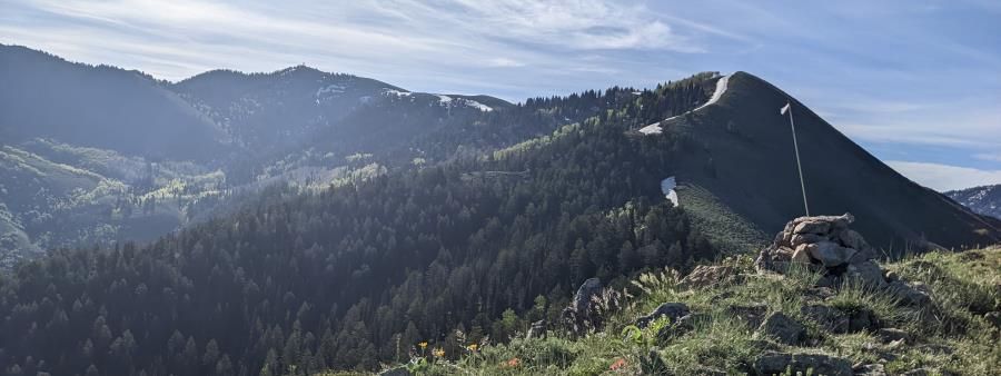 Logan Peak Trail Run