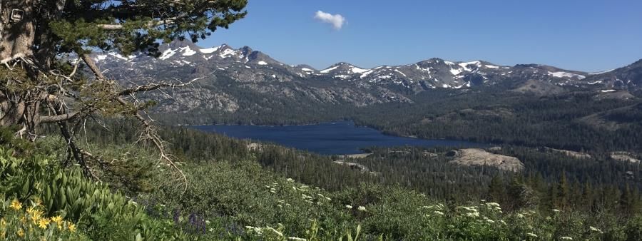 Thunder Mountain 50K Trail Challenge