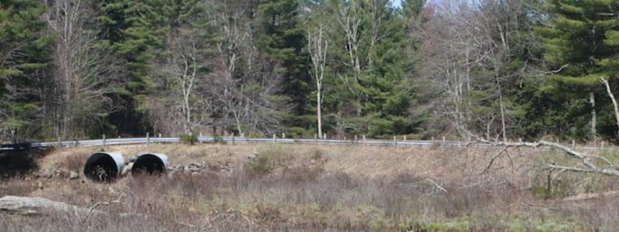 Northern Nipmuck Trail Race