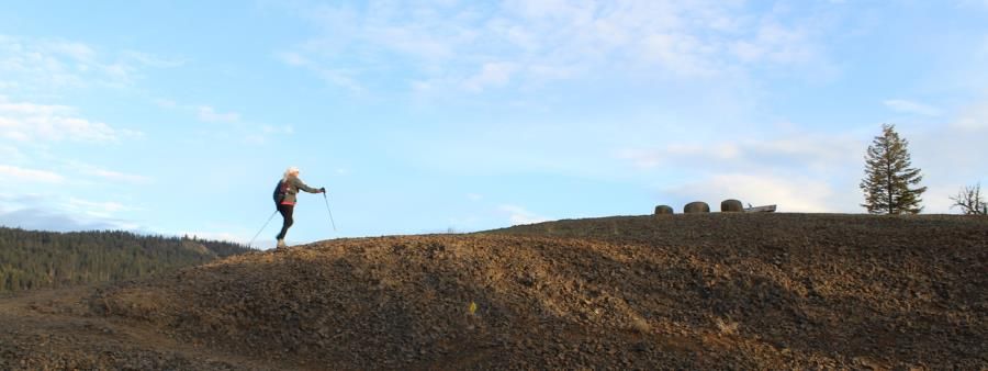 Sasquatch Shuffle (Virtual)