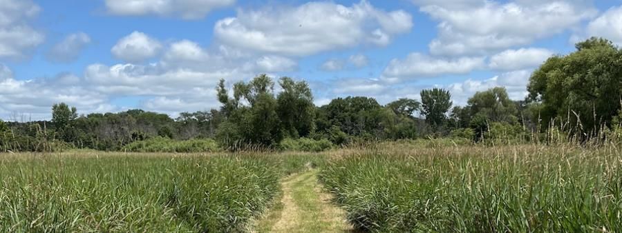 Fast Track Trail Race