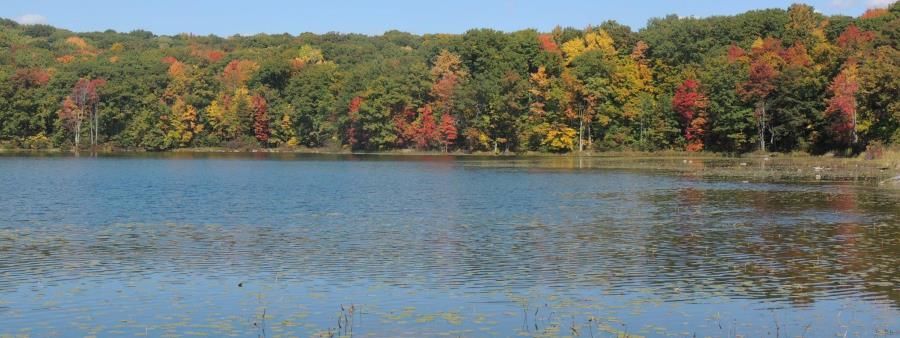 The Hungerford Trail Races