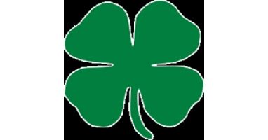 Wallkill Shamrock Scramble 5K