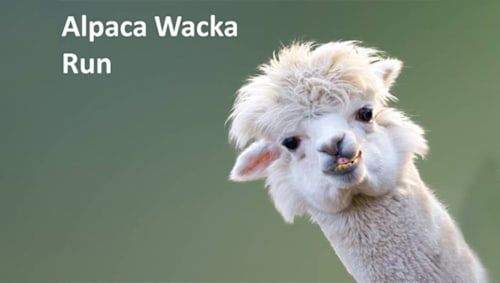 PHOENIX - Alpaca Wacka Run