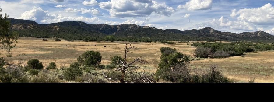 Durango Trails Backyard Ultra