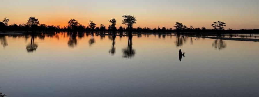 Area 51 5k/12k Trail Race