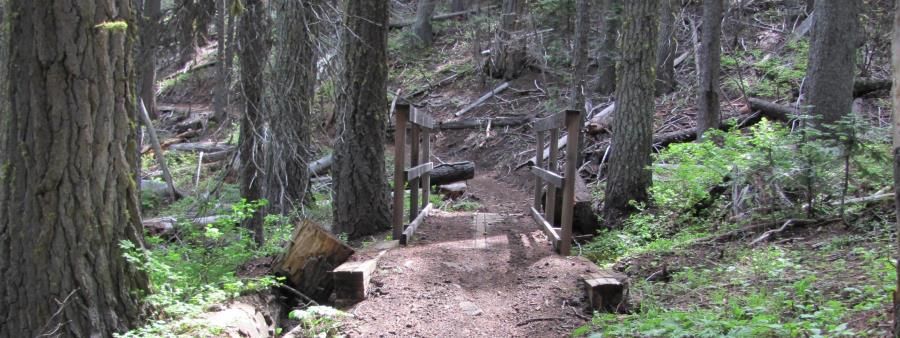 Grey Rock Trail Runs