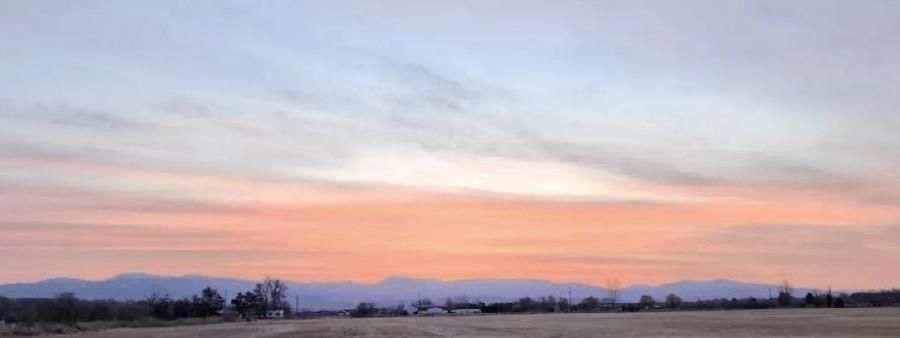 If You're Not First You're Last