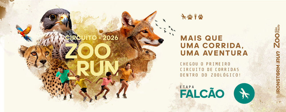 ETAPA FALCÃO - Circuito ZOO RUN