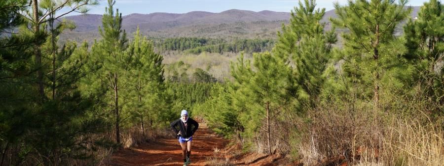 Meadow to Mountain Trail Race