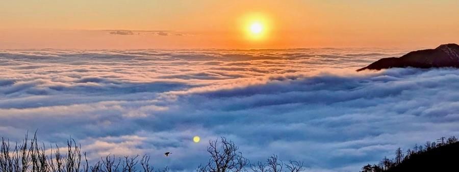 Mount Disappointment Mountain Race