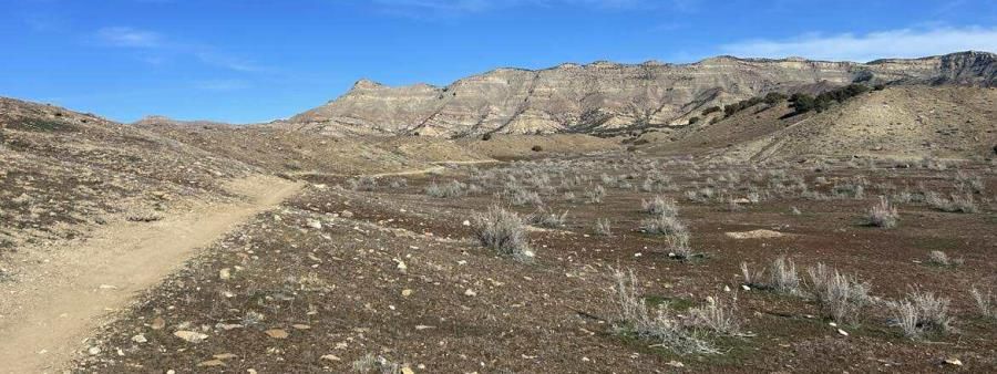 Grand Valley Backyard