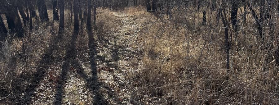 The Next Loop: 50-Mile Challenge