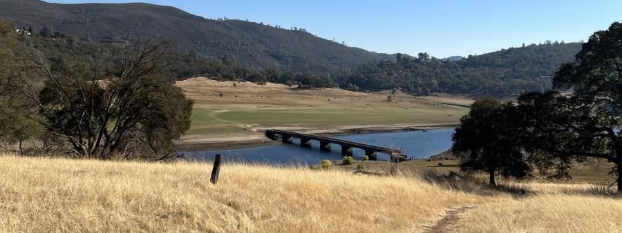 Magnolia Magic River Trail Run