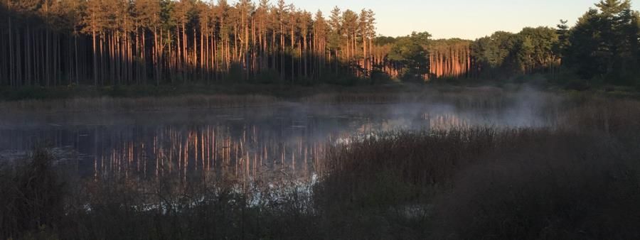 Riley Trails 13.1, 10K & Ruck Challenge