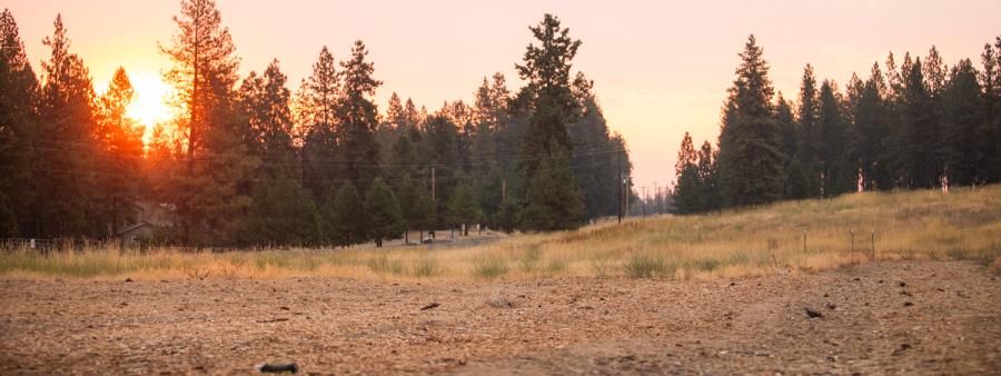 INAUGURAL - THE LONGEST LIGHT//101