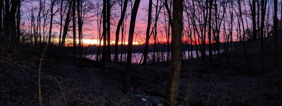 Night Owl Trail Marathon, Half, and 10K