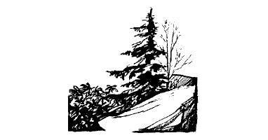 Highlands Sky 40 Mile Trail Run