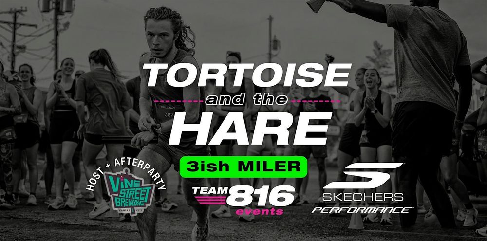 Tortoise and the Hare 2026