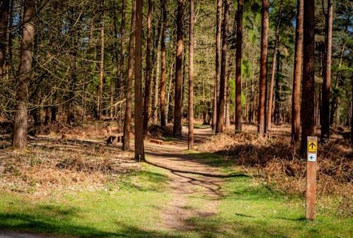 'Twas The Run Before Christmas 2026