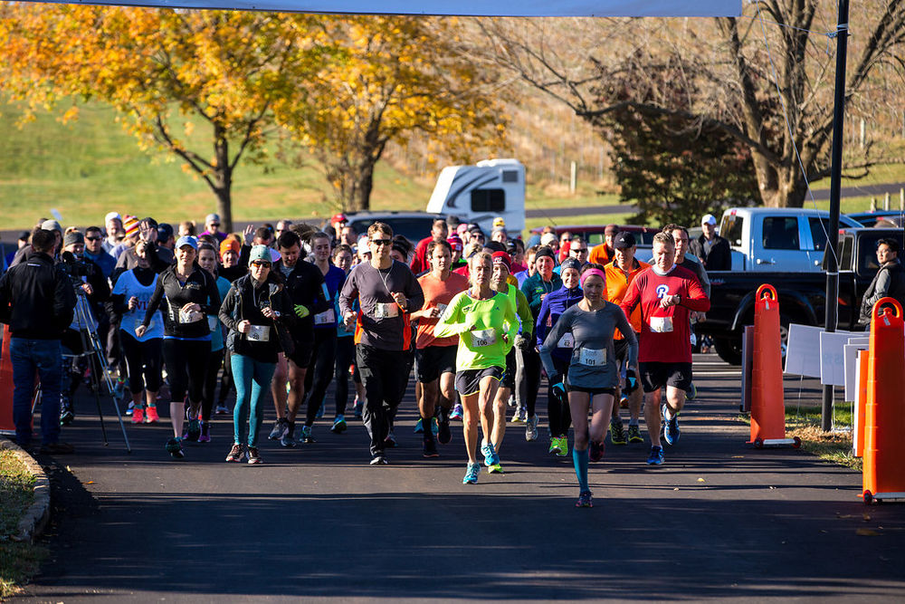 5k USA: Celebrating VA250