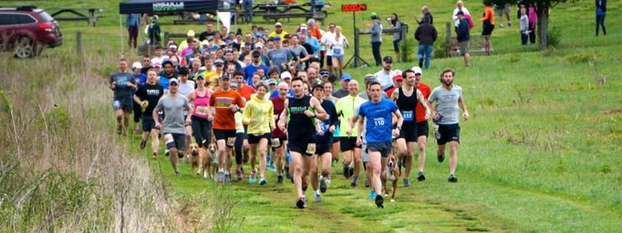 Nashville Running Company's Bells Bend 6 Miler