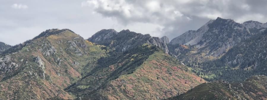 Bear Canyon Trail Run