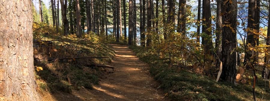 Trail Run at Sly Park - Fall