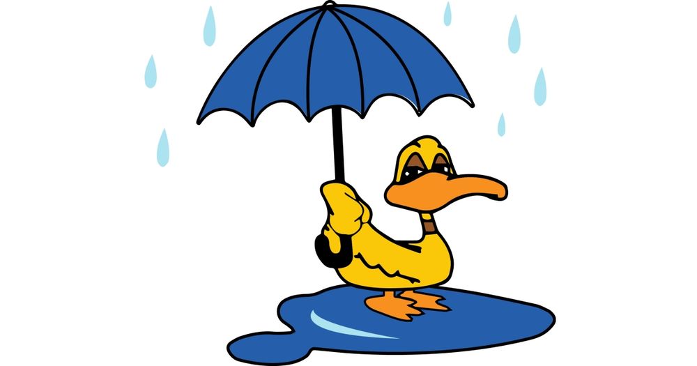 Jeanne Richie Memorial Puddle Jump