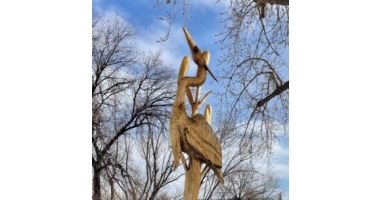 Blue Heron Half & 5K