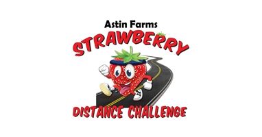 SDC 2027 (Strawberry Distance Challenge)