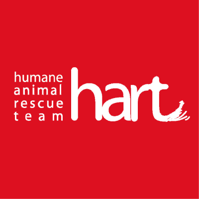 2026 Sneakers & Strays