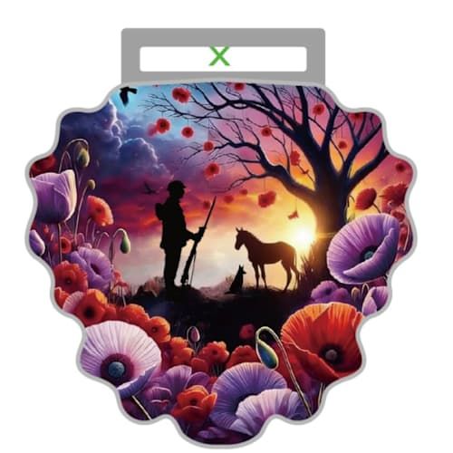 We Will Remember Poppy Run