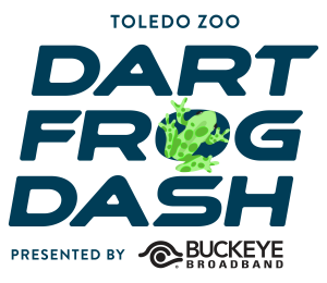 Toledo Zoo Dart Frog Dash presented by Buckeye Broadband