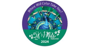 Where Will Color Take You?