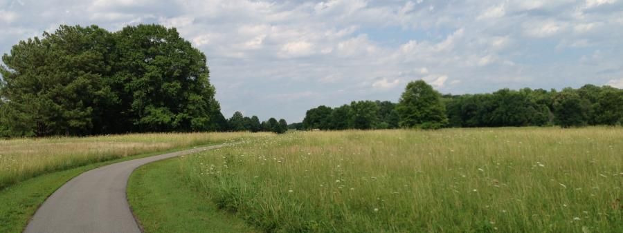 Asphalt Jackal Marathon