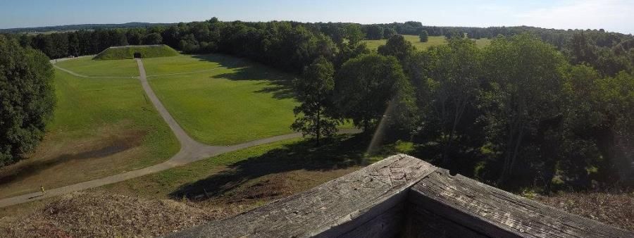 Dragonfly Jackal Marathon