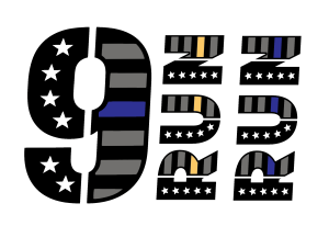 9RunRun 5K & Color Fun Run