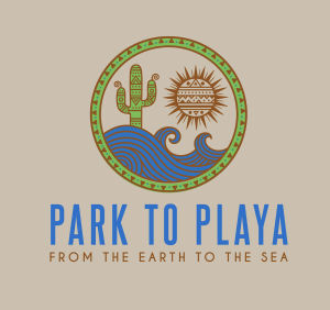 Park to Playa: Latinx Power Run 10K