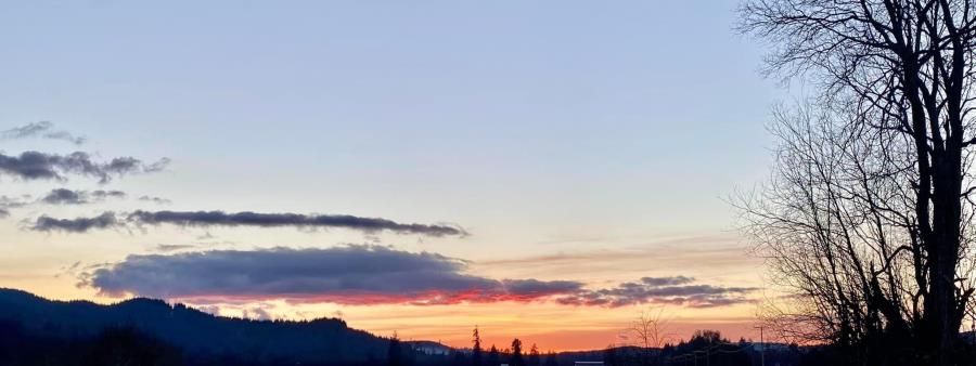 Willapa Trail Festival