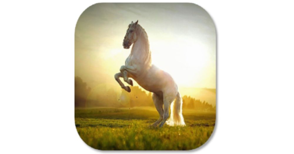 Race of the Redeemed- Distinguished