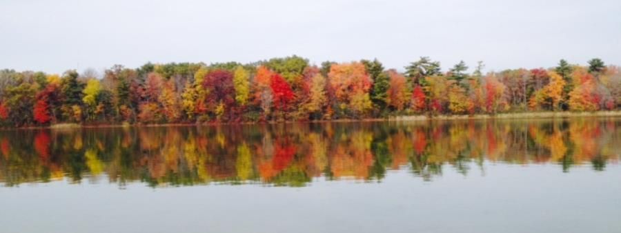 Yankee Springs Fall Festival