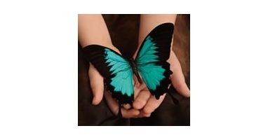 Annual W.A.R. (Walk and Run) Against Ovarian Cancer