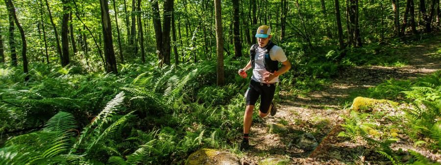 Laurel Highlands Ultra - Fall Classic