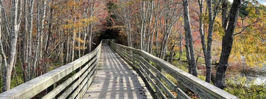 Greensprings 24 - October 24, 2026