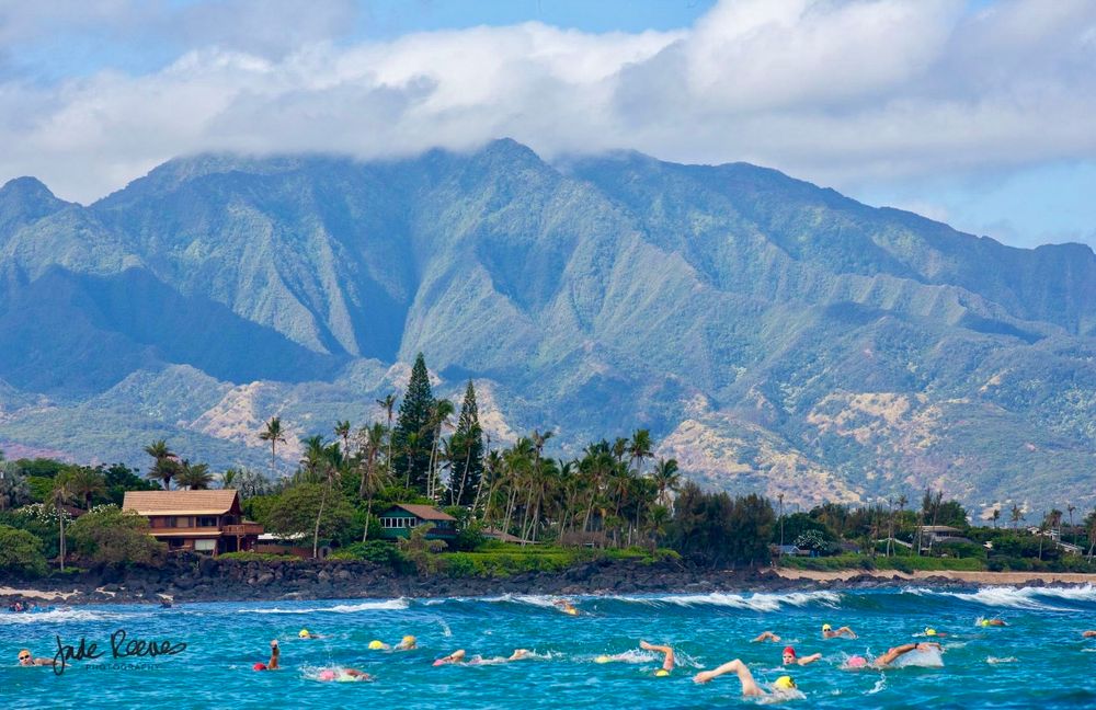 JACO Chun's to Waimea Bay Swim 2026 or all 4 races of the North Shore Swim Series